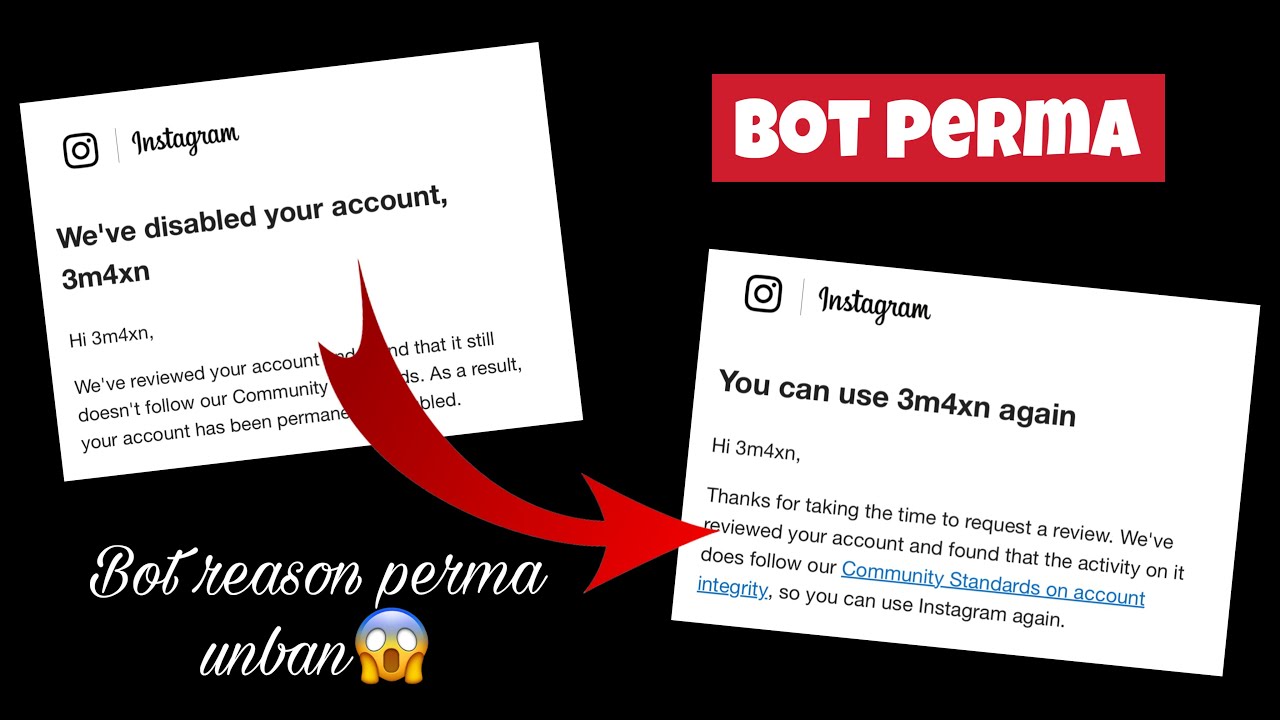 Bot Perma Unban Instagram Account | Perma Unban Instagram