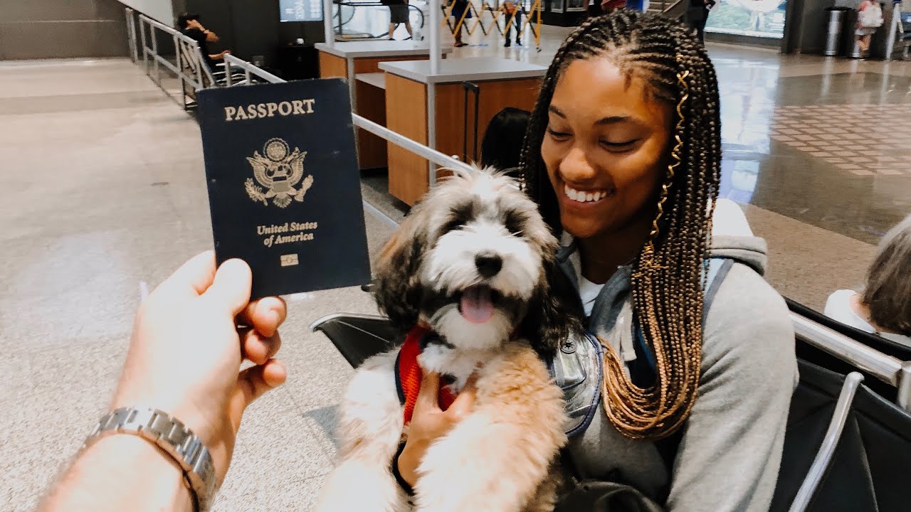 Flying Wherever My Girlfriend Wants *Couples Vacation*