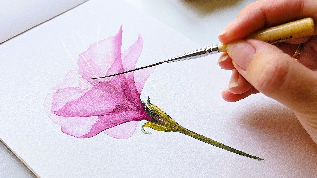 How to Paint Transparent Watercolor Flower: pink layered hibiscus flower painting tutorial