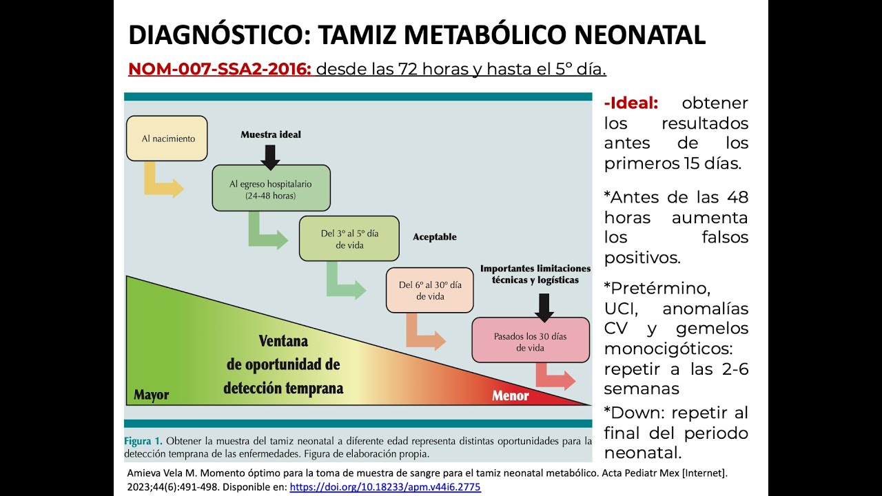 Embriología: Hipotiroidismo congénito