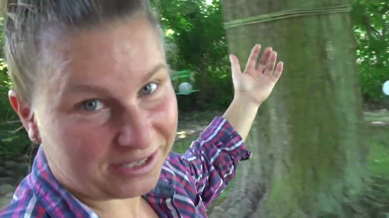 Mój zwykły dzień/Komplet z morwą.