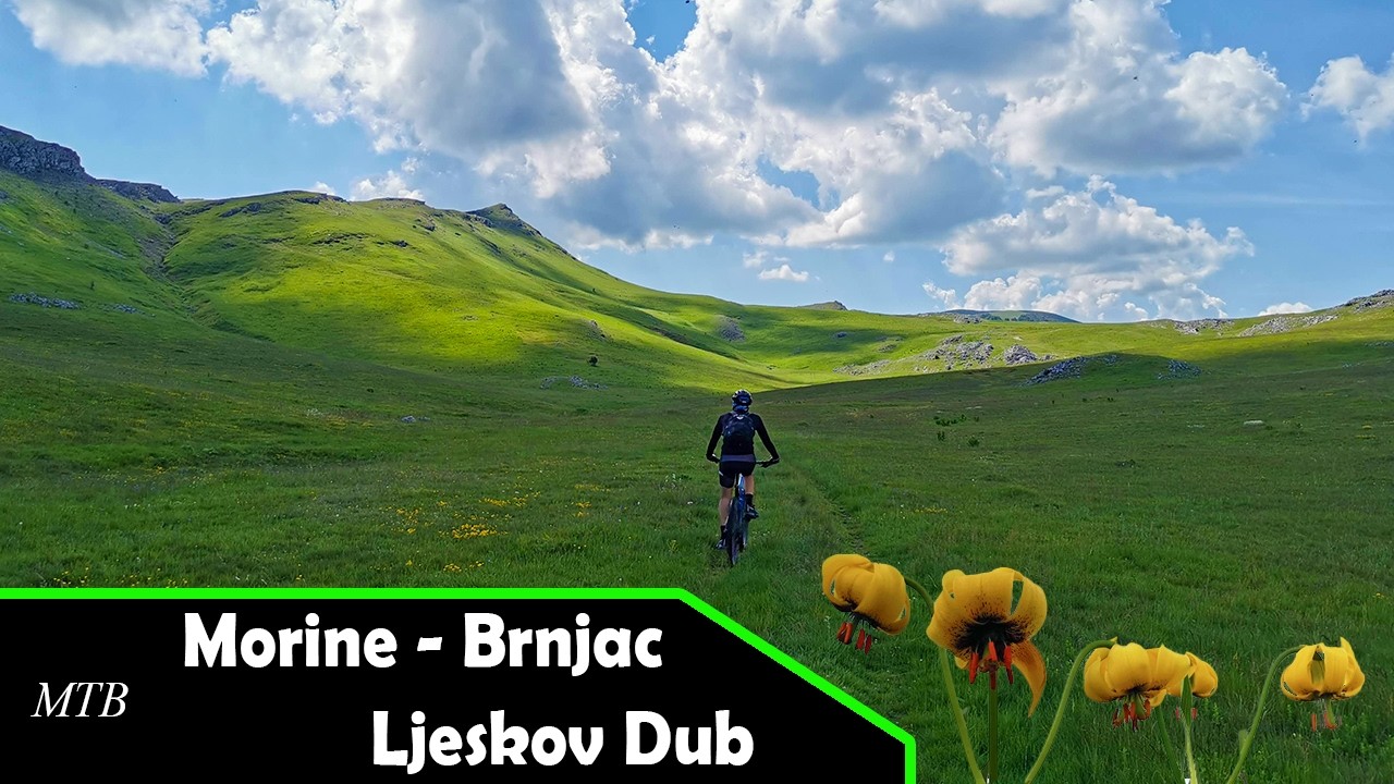 MTB: Morine - Brnjac - Ljeskov Dub