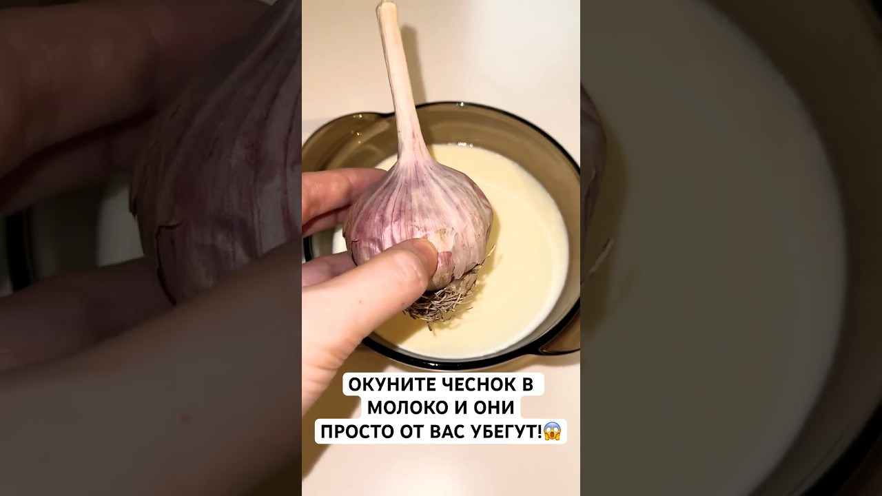 ОКУНИТЕ ЧЕСНОК В МОЛОКО И ОНИПРОСТООТ BAC УБЕГУТ!😱#лайфхак #совет#способ #рецепт #чеснок