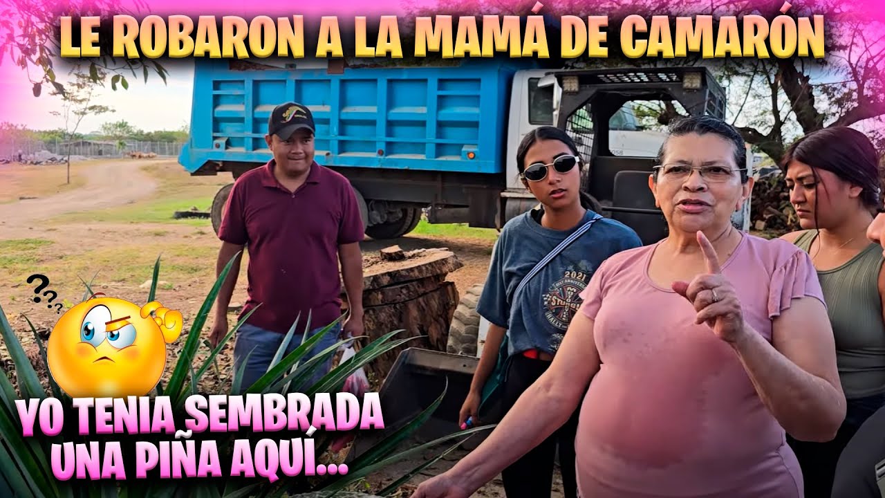 Así comenzamos el 31 de diciembre con esta aventura de los Bichos. Niña Ana tiene una queja