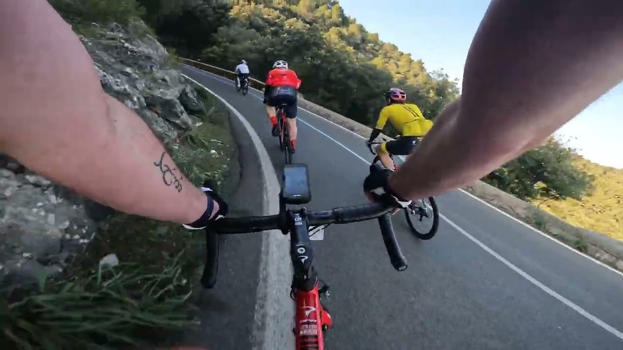 Mallorca 312 pt.1 (2022)
