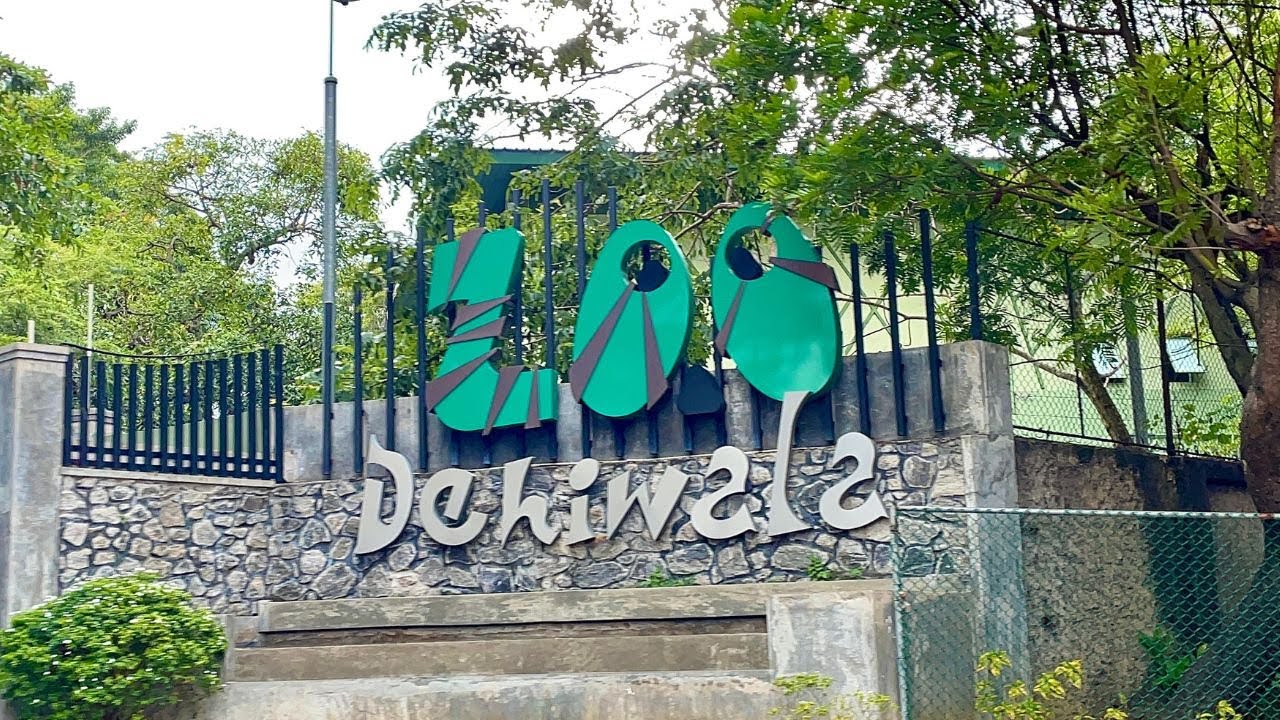 Dehiwala Zoo Sri Lanka, Colombo Zoo, Dehiwala Zoological Gardens, Sri Lanka, Colombo, Dehiwala Zoo