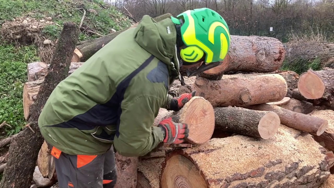 Confronto Stihl 201 e Msa220