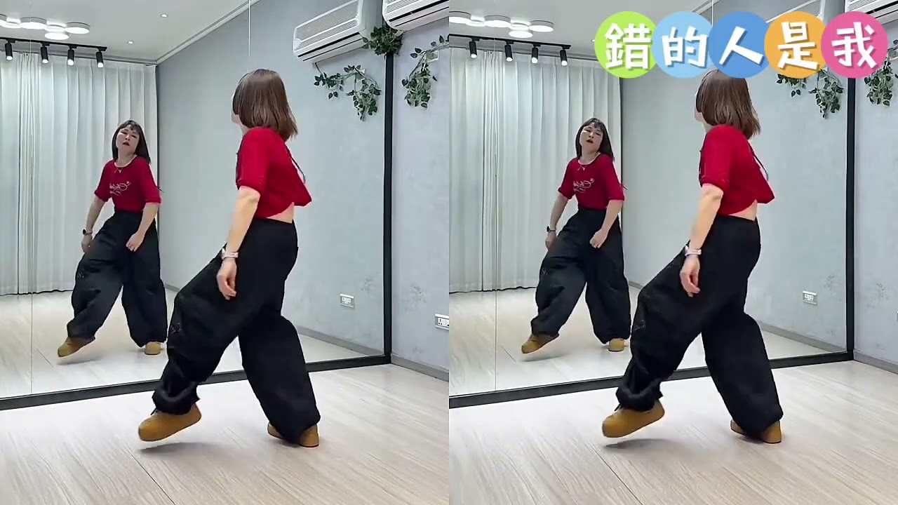 錯的人是我