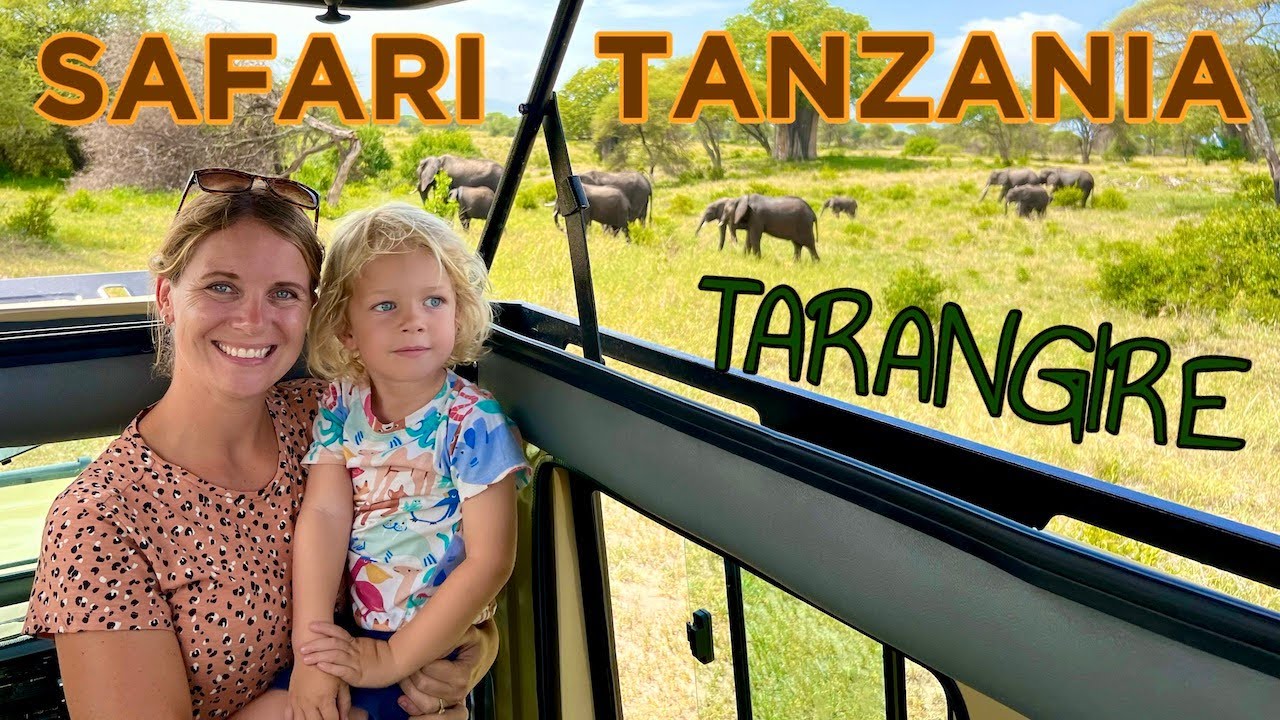 SAFARI in TANZANIA: Nóg mooier dan SERENGETI!? Tarangire is ELEPHANT Paradise!