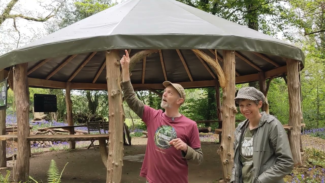 The Deer Wood Trust: growing trees and community in a beautiful woodland