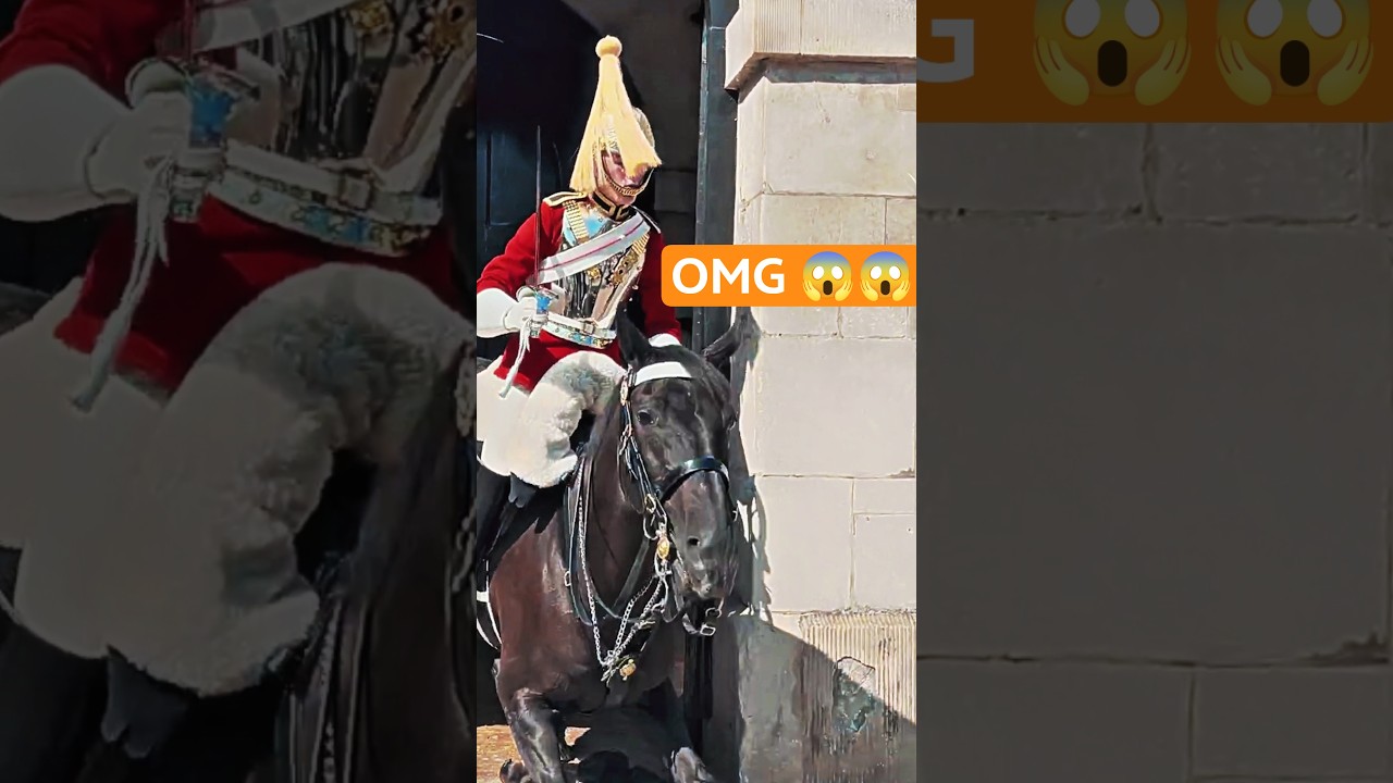 if you are the royal horse😢 #kingsguard #horseguardsparade #peterellis #horse #buckinghampalace