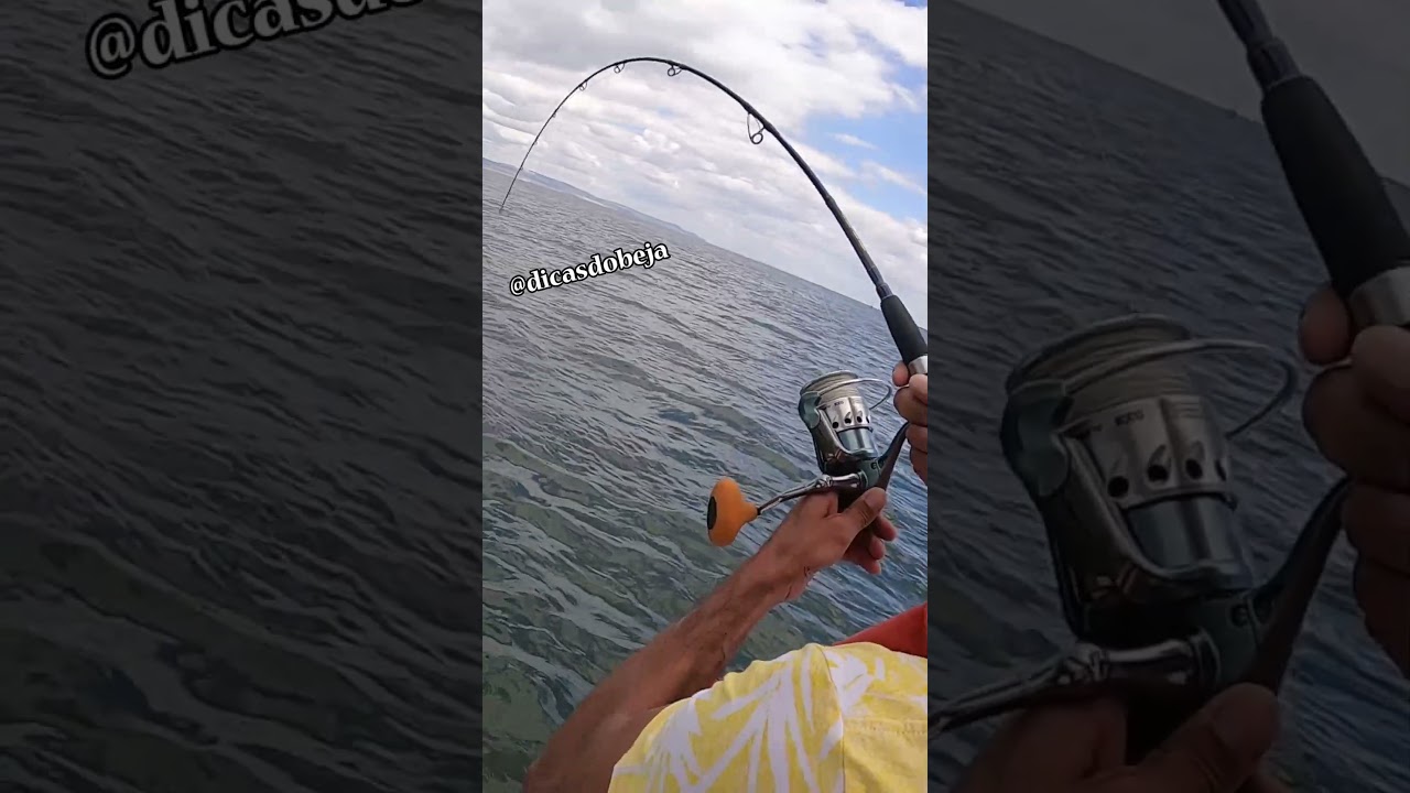 CORVINA COM VINIL RIO TEJO 