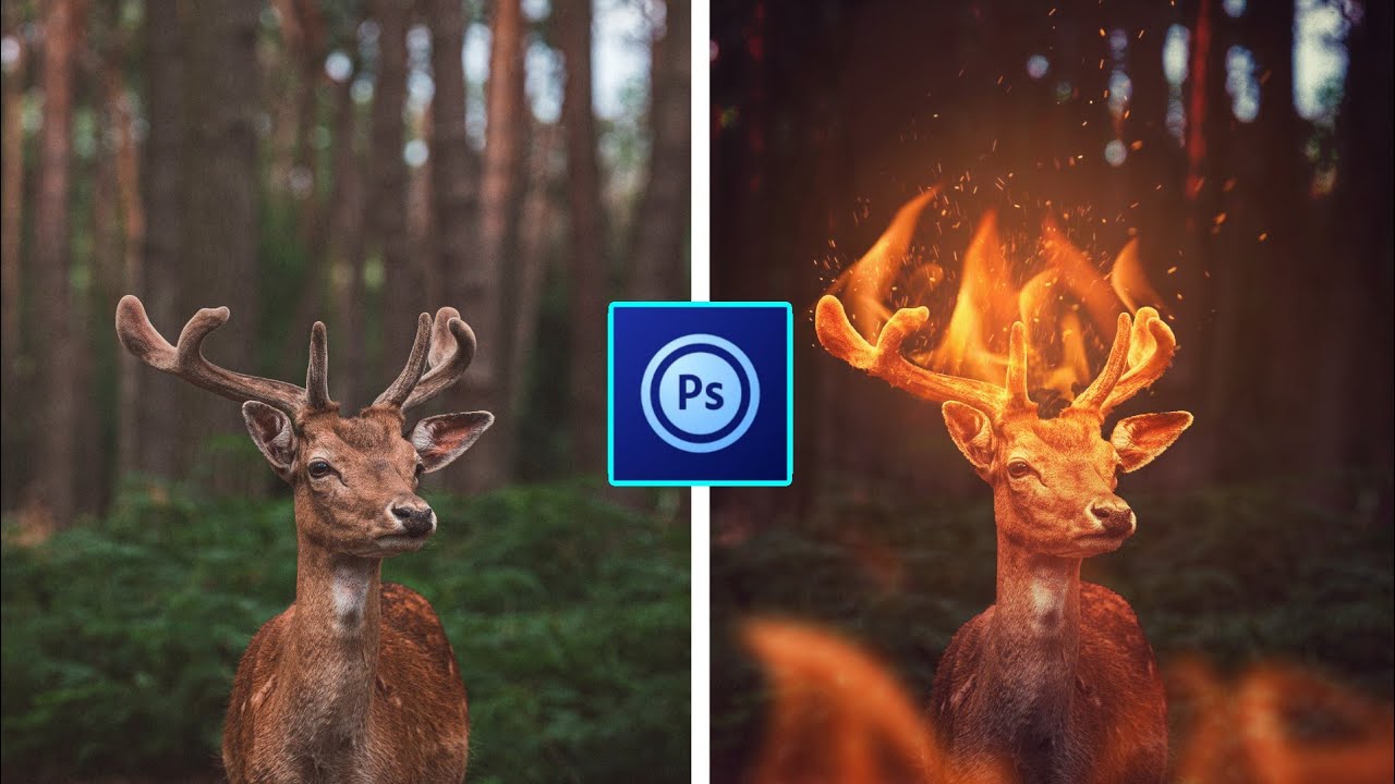 PS Touch Tutorial - FIRE Deer Effect on ps touch/android