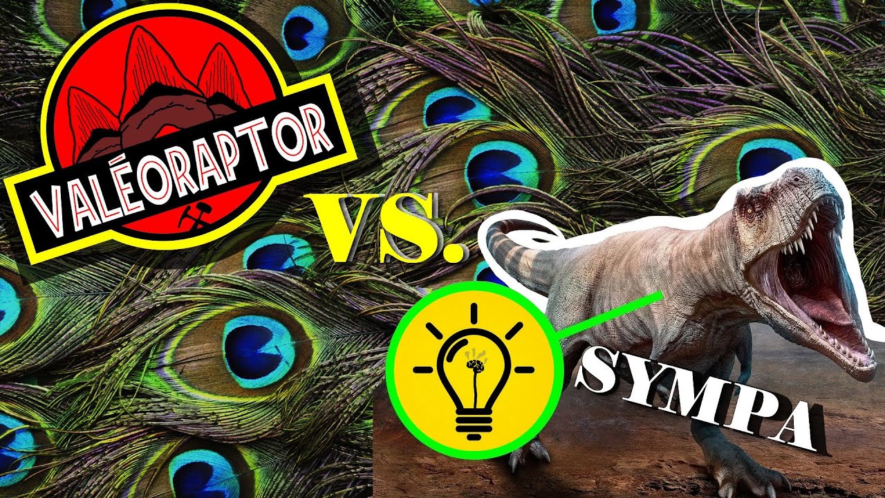 C'est SYMPA la paléontologie !
