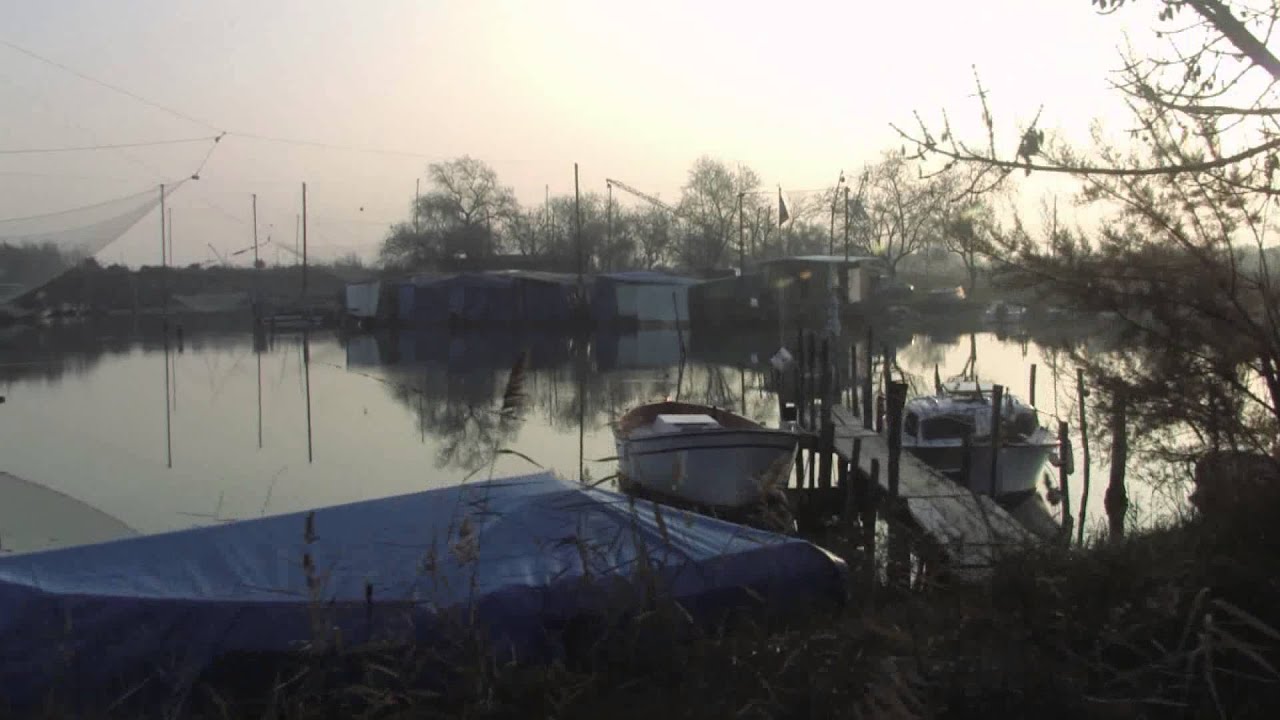 Black and Green // ULI | official video