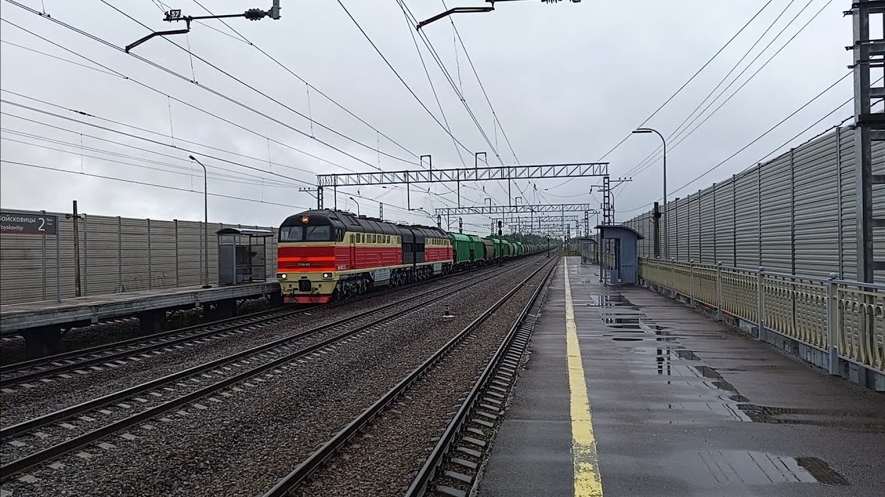 Ушка в новом окрасе 2ТЭ126, Новейшая ТЭМка и неплохие БТСы в мокрых летних Войсковицах