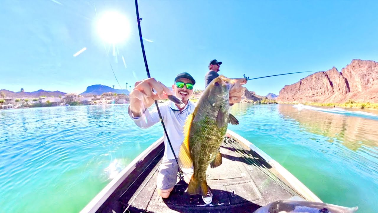 Smallmouth Bass Fishing PARKER Arizona These Fish Could NOT Resist this Swimbait