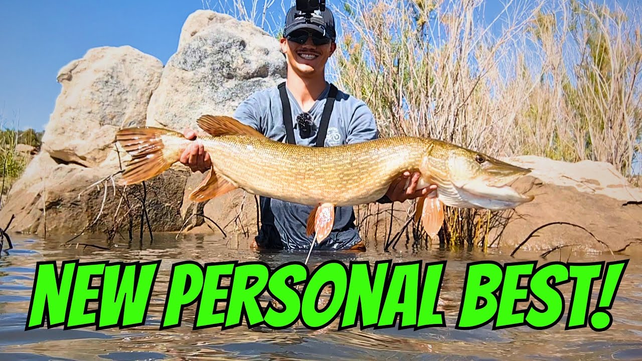 Monsters of Utah! FISH BEATDOWN- Northern Pike Fishing from a kayak