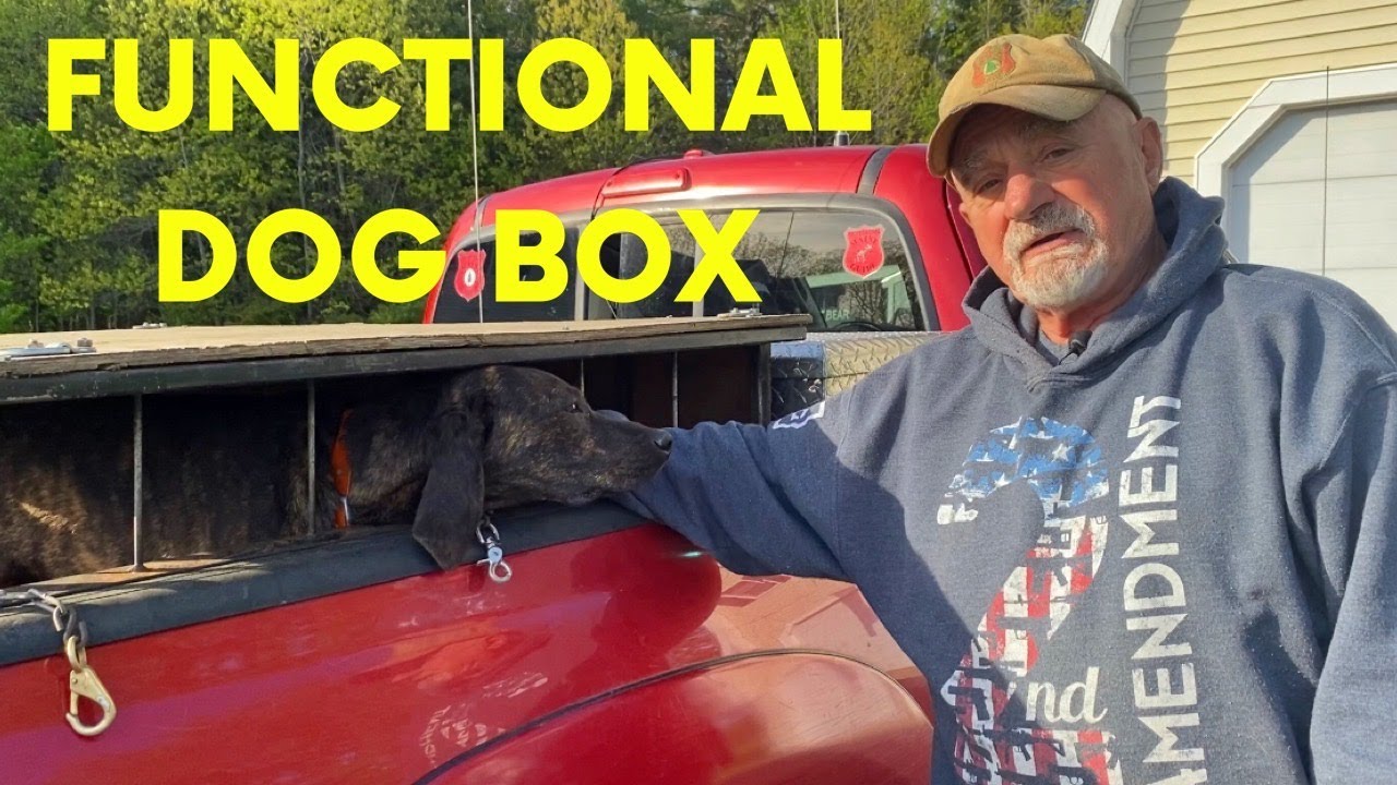 Functional Dog Box for Hound Hunting