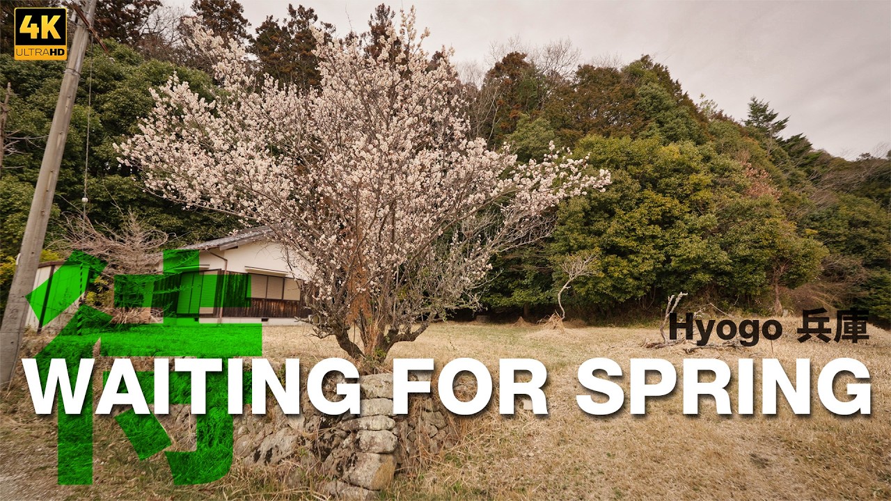 Between Winter and Spring — Silent Countryside Walk in Japan (4K)