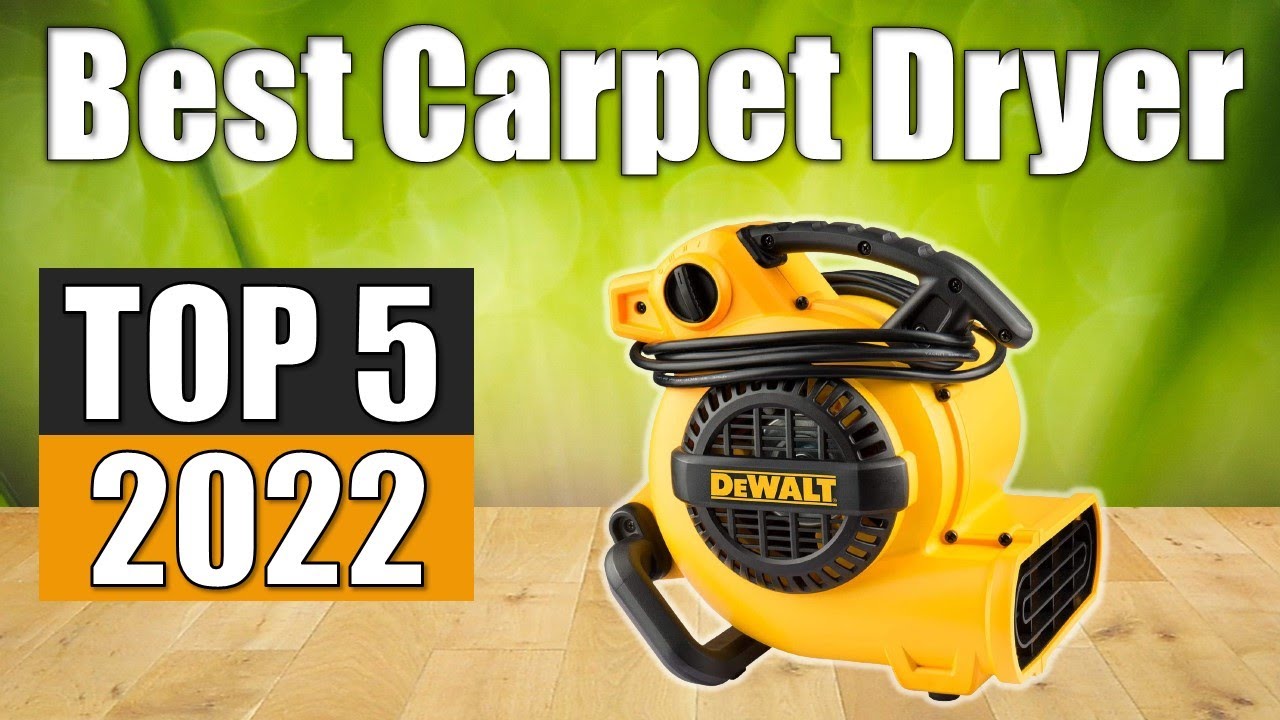 Carpet Dryer : Top 5 Best Carpet Dryer 2022