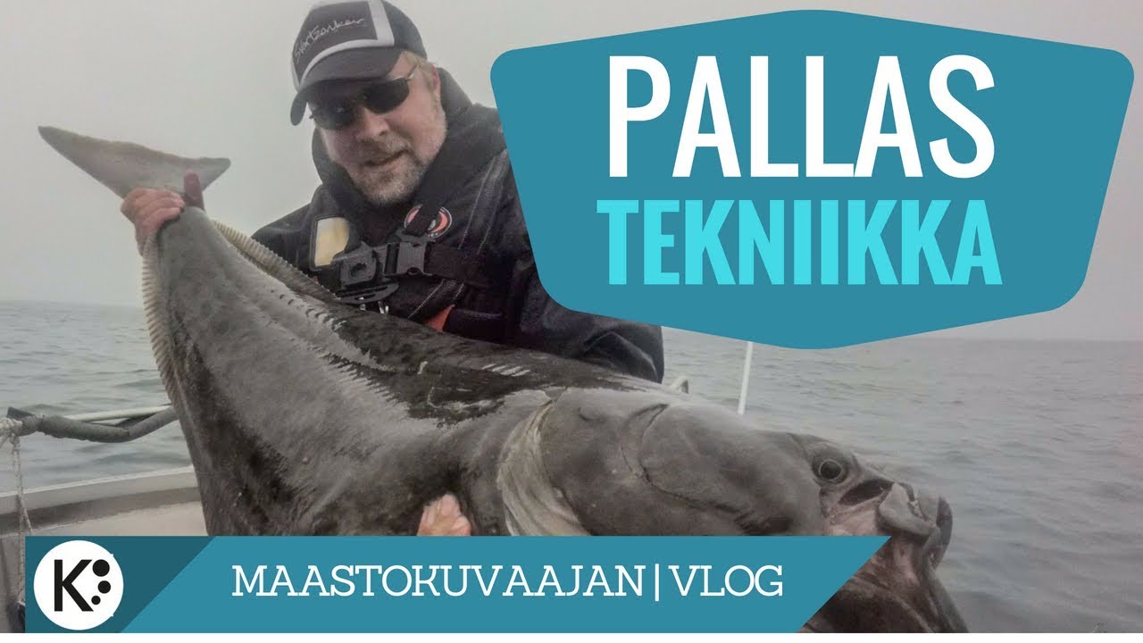Mullistava tekniikka ruijanpallakselle - uutta tietoa jakoon 💪