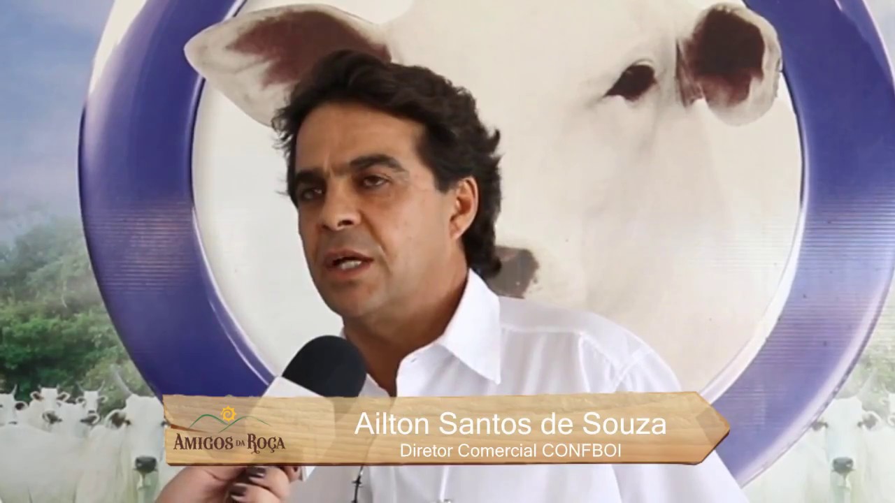 LEILÃO NOVILHO DO FUTURO - CONFBOI 2017