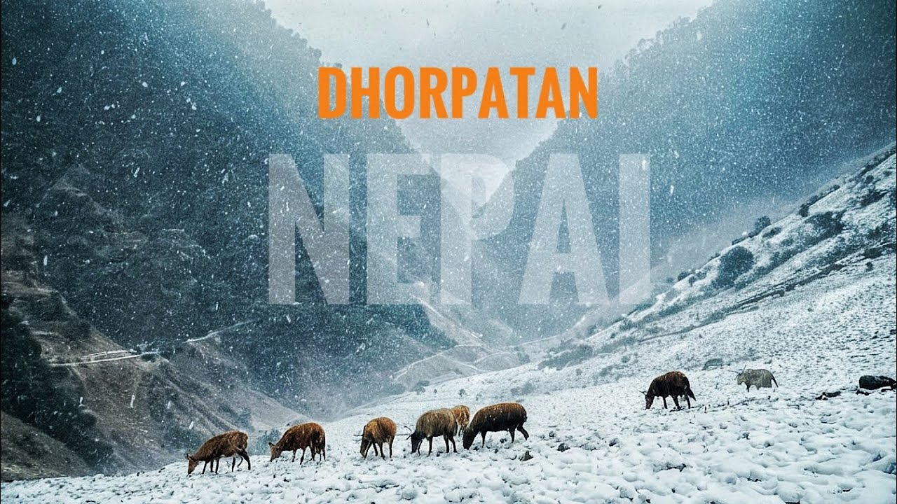 Dhorpatan's Snowy Paradise | Nepal Travel vlog ep-2 one of the best place to travel