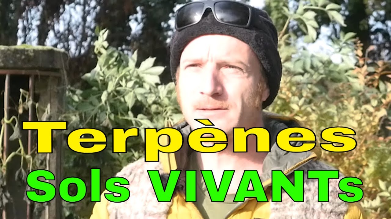 25 000&euro; de CA sur 70m&sup2; ! Cet Expert de la Fleur de Chanvre R&eacute;v&egrave;le sa M&eacute;thode