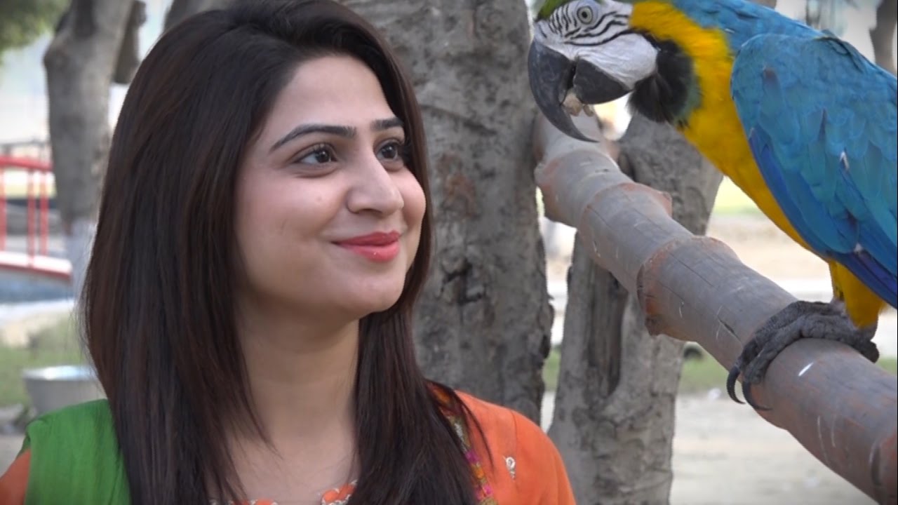 Lahore Safari Park