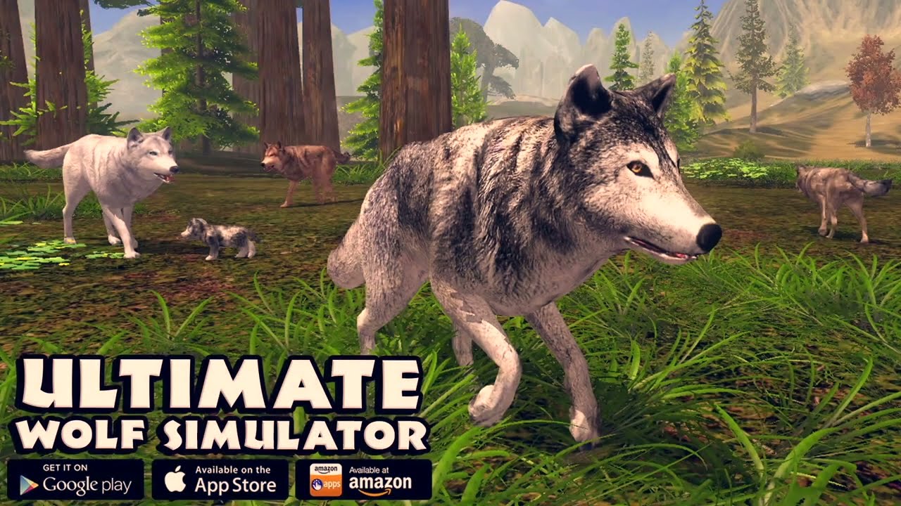 Wolf VS Bear Elk Deer Fox Sheep Goat Wild Boar Bizon