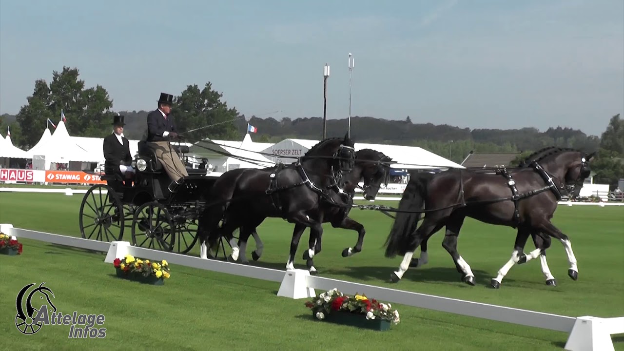 Boyd Exell   Aus  CAIO Aachen 2019   Dressage Day 2  Test 3B HP4