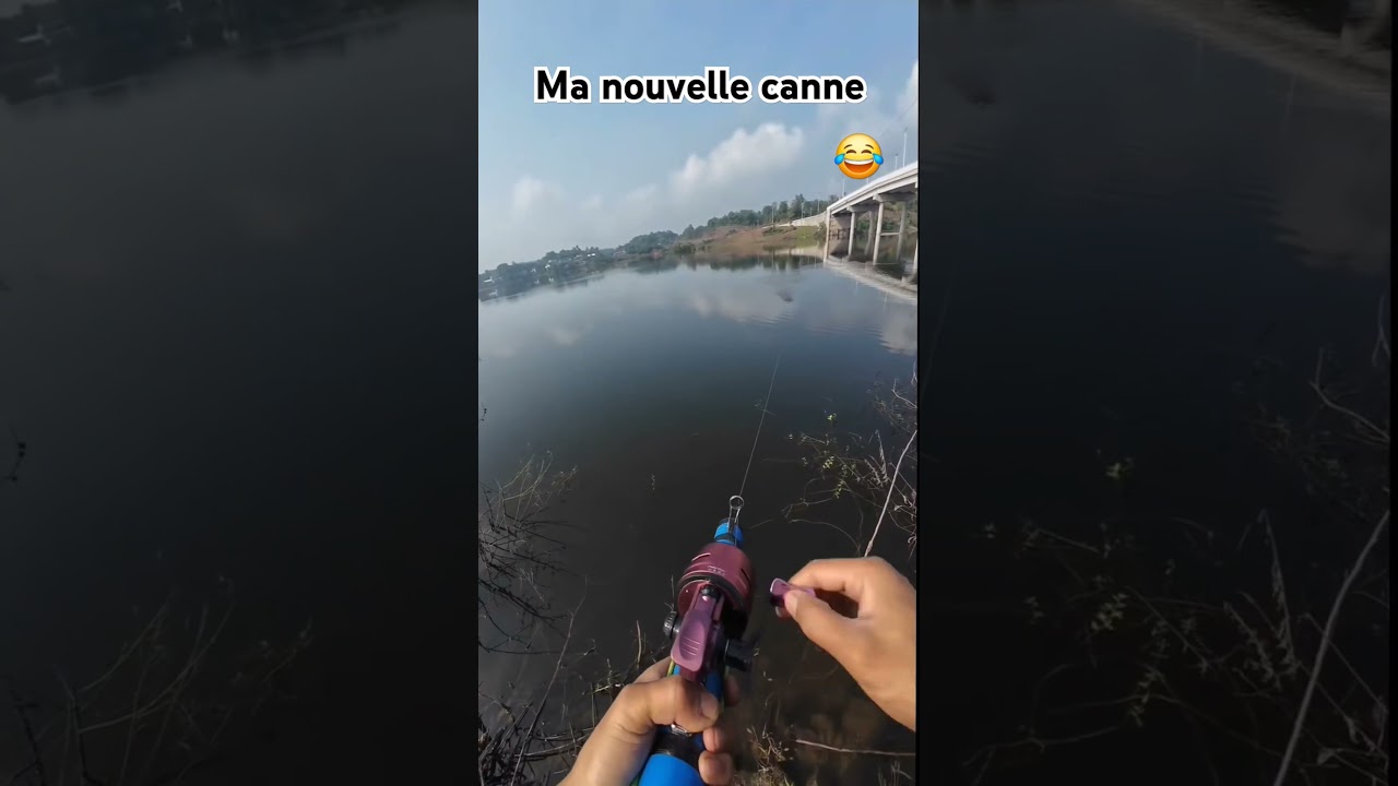 #fishing #pechemouche #pecheur #carpfishing #fish #brochet