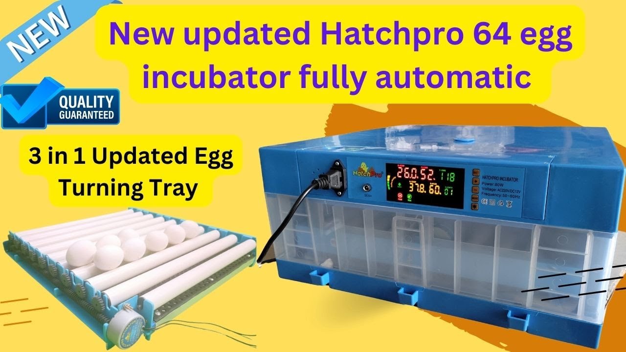 New Updated Hatchpro 64 egg incubator fully automatic | how to use and maintain humidity | Low price