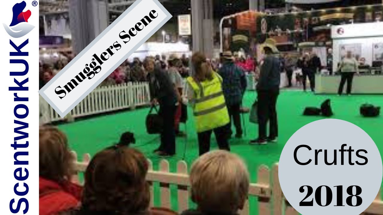 Scentwork UK display at Crufts 2018
