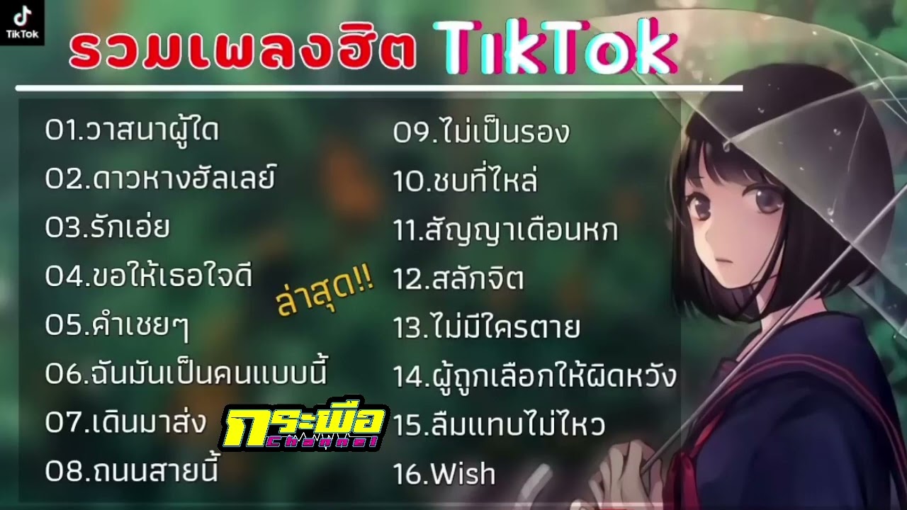 รวมเพลงฮิตในTikTok  วาสนาผู้ใด   รักเอ๋ย   ดาวหาง