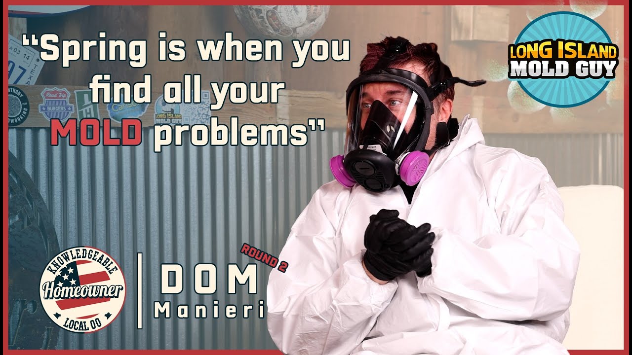 Spring Cleaning Secrets: Mold Prevention and Home Maintenance