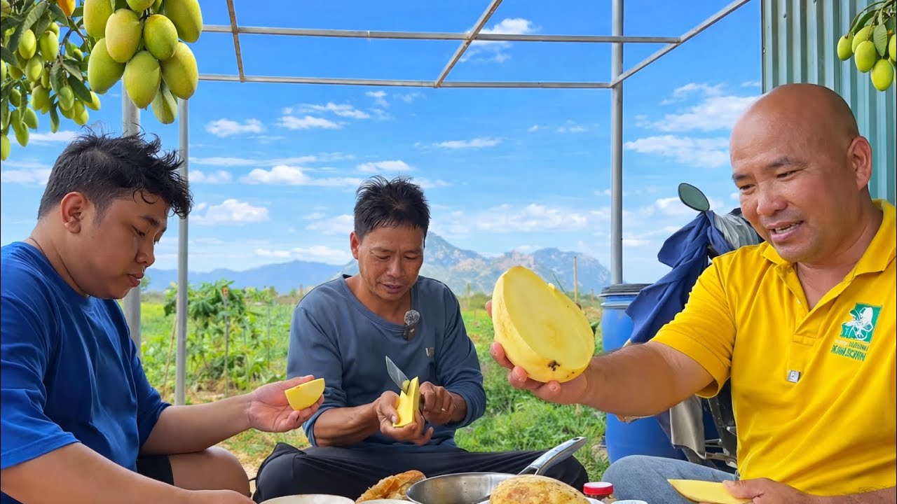 LẦN ĐẦU CẮT CỎ CHO CỪU ĂN XOÀI CÙNG ANH EM FARM CÚ ĐẤM THÉP TV 