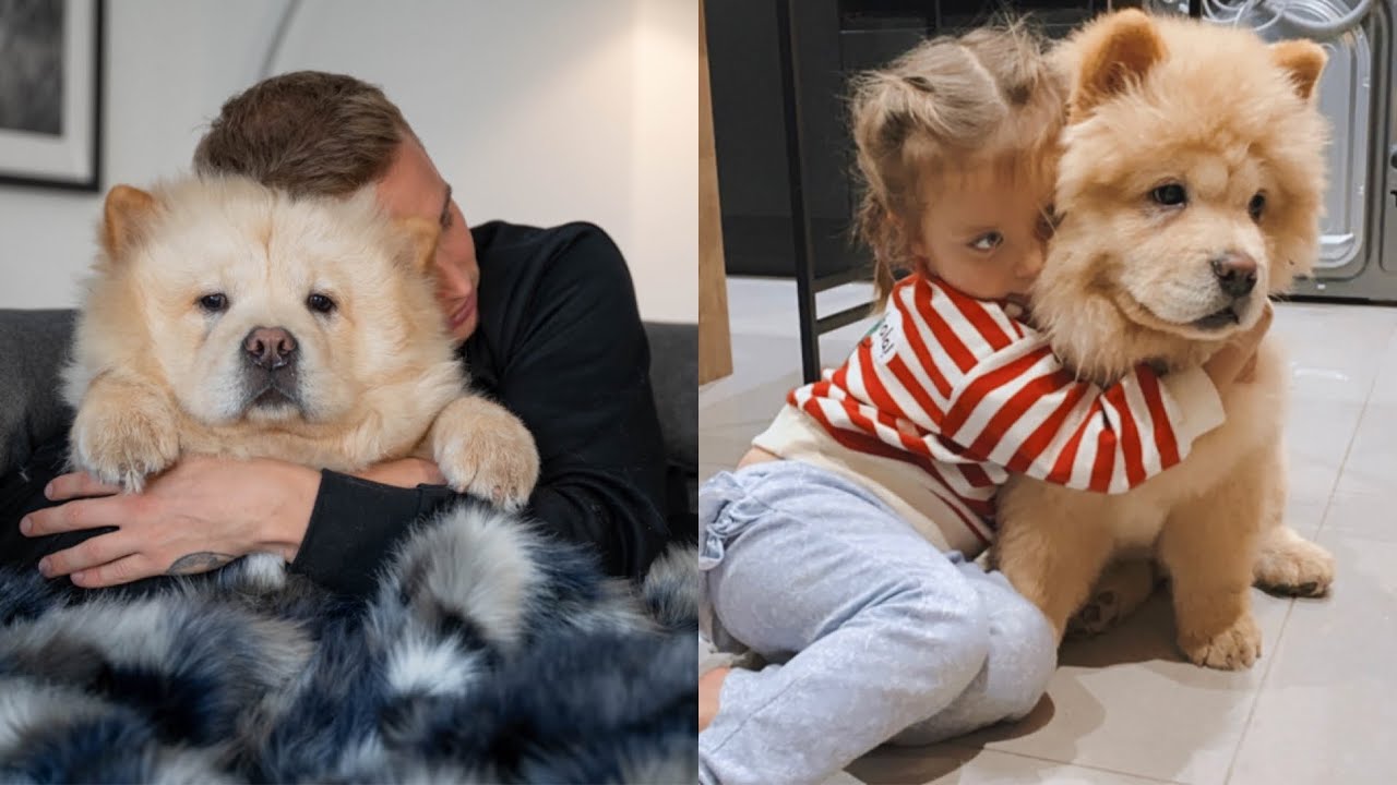 A VERY EMOTIONAL REUNION | Carl Cunard