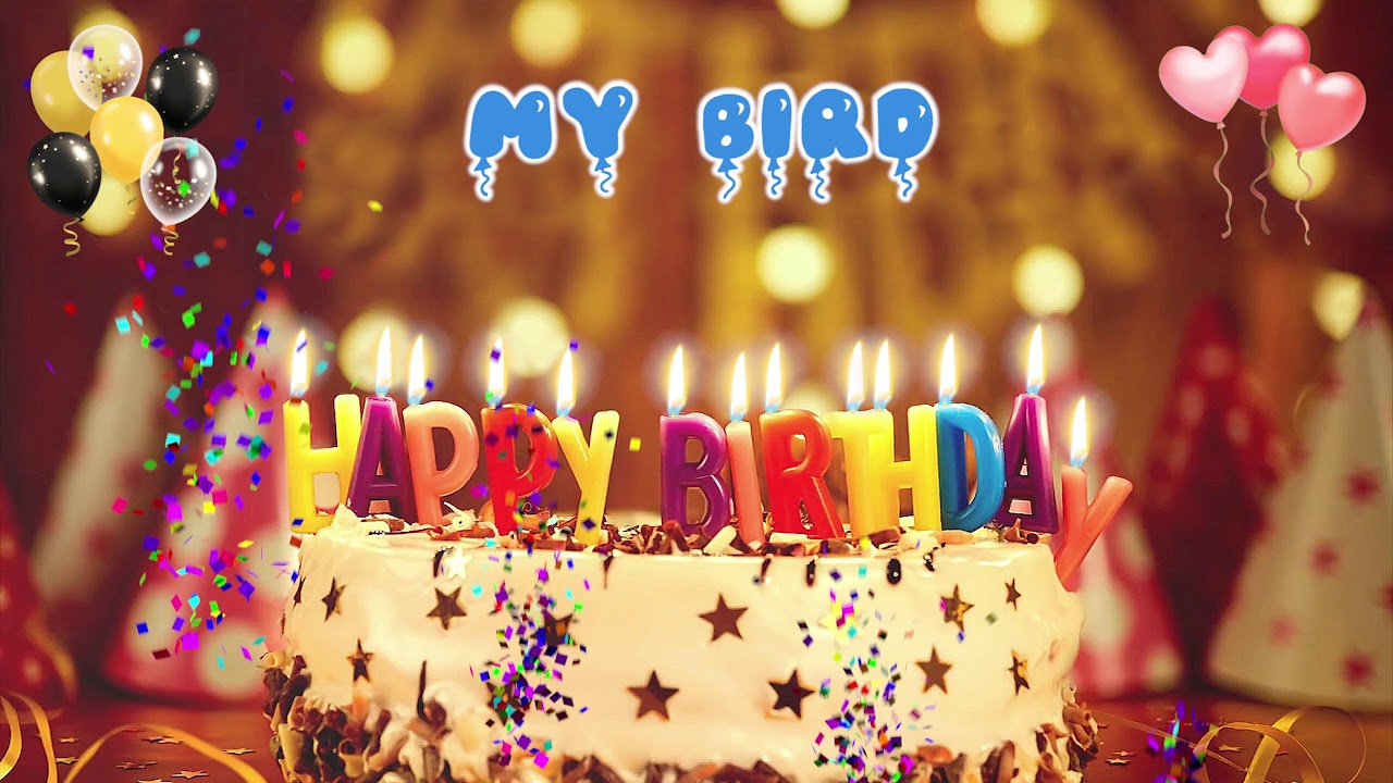 MY BIRD birthday song &ndash; Happy Birthday My bird