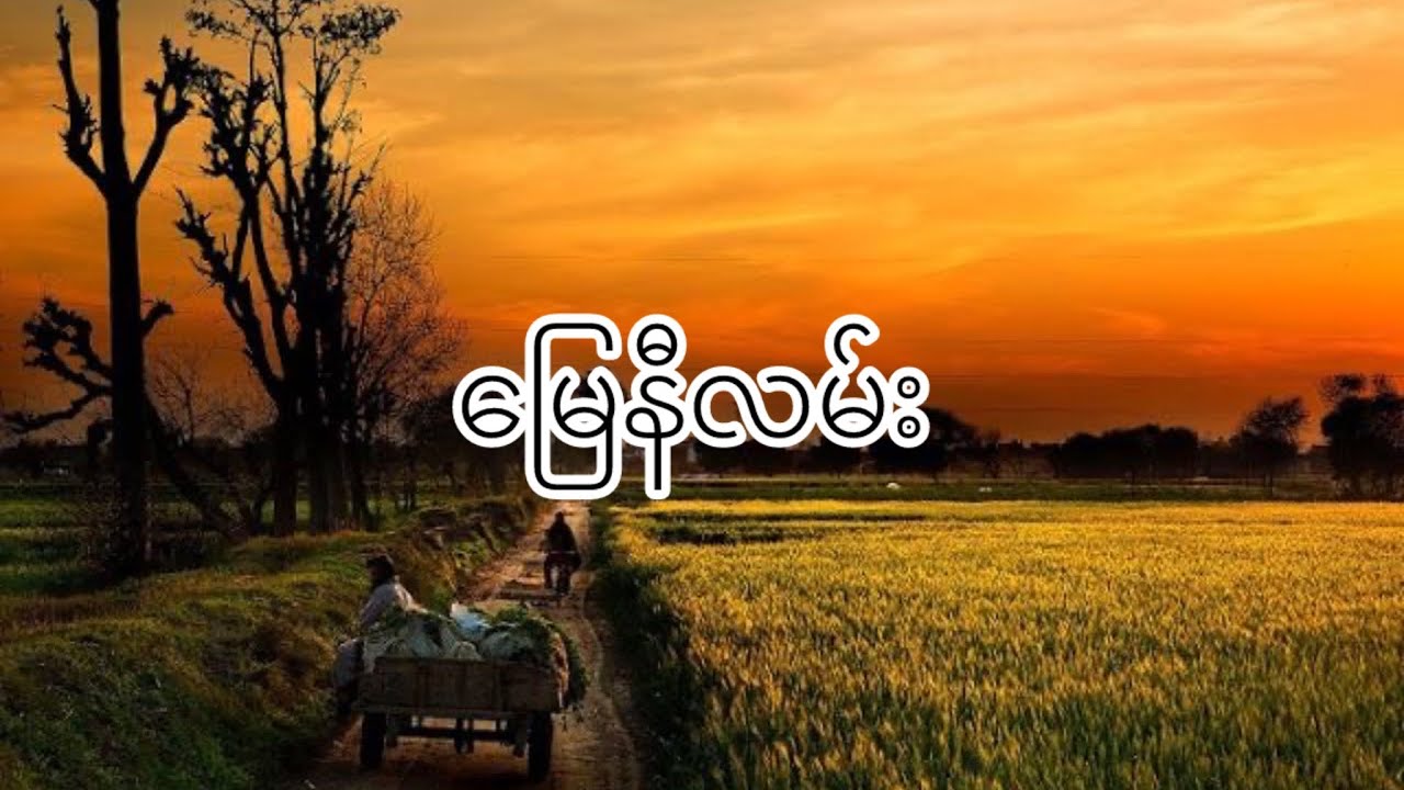 မြေနီလမ်း / ဘိုဖြူ