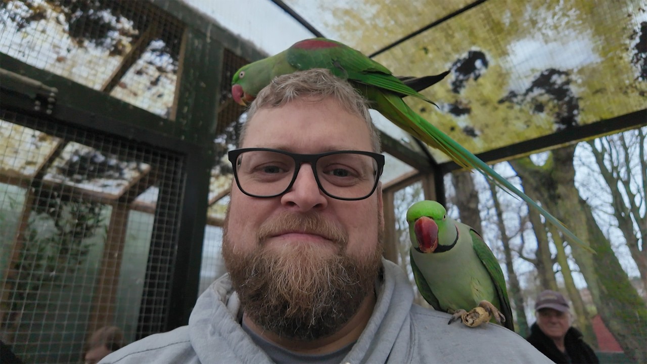 Our trip to Tropical Bird Land