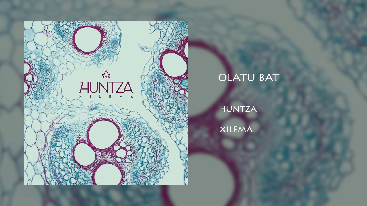 Huntza - Olatu bat