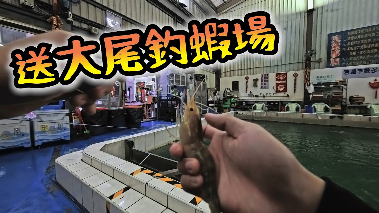 開箱南投竹山唯一一間釣蝦場?! #送大尾釣蝦場 #台湾のエビ釣り #대만새우낚시 #taiwanshrimpfishing #Ken桑手作 #釣蝦 #天枰 #釣蝦場 #阿波 #刀師