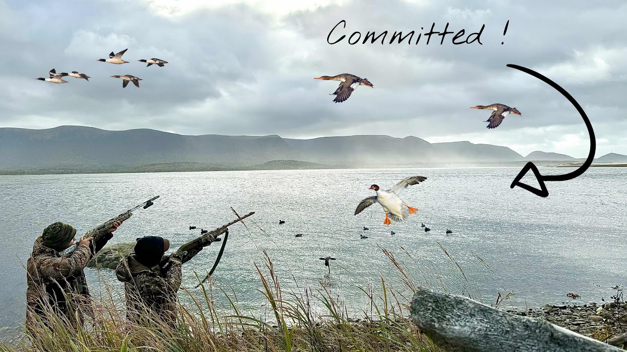 Two Night Duck Hunting Adventure  - Cabin Stay & Delicious Food in Newfoundlands Waterfowl Heaven !