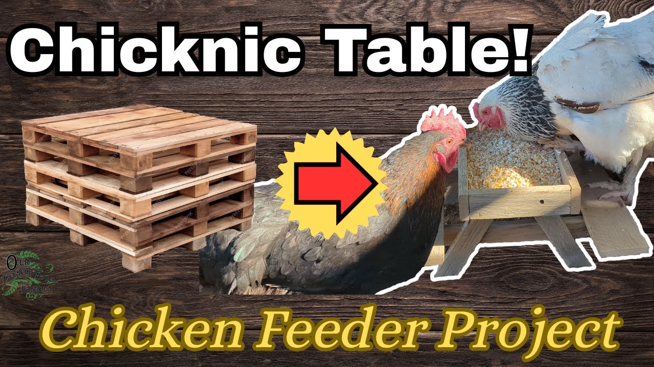 Build A Chicken Feeder Chicknic Table - Pallet Wood Homestead Side Hustle