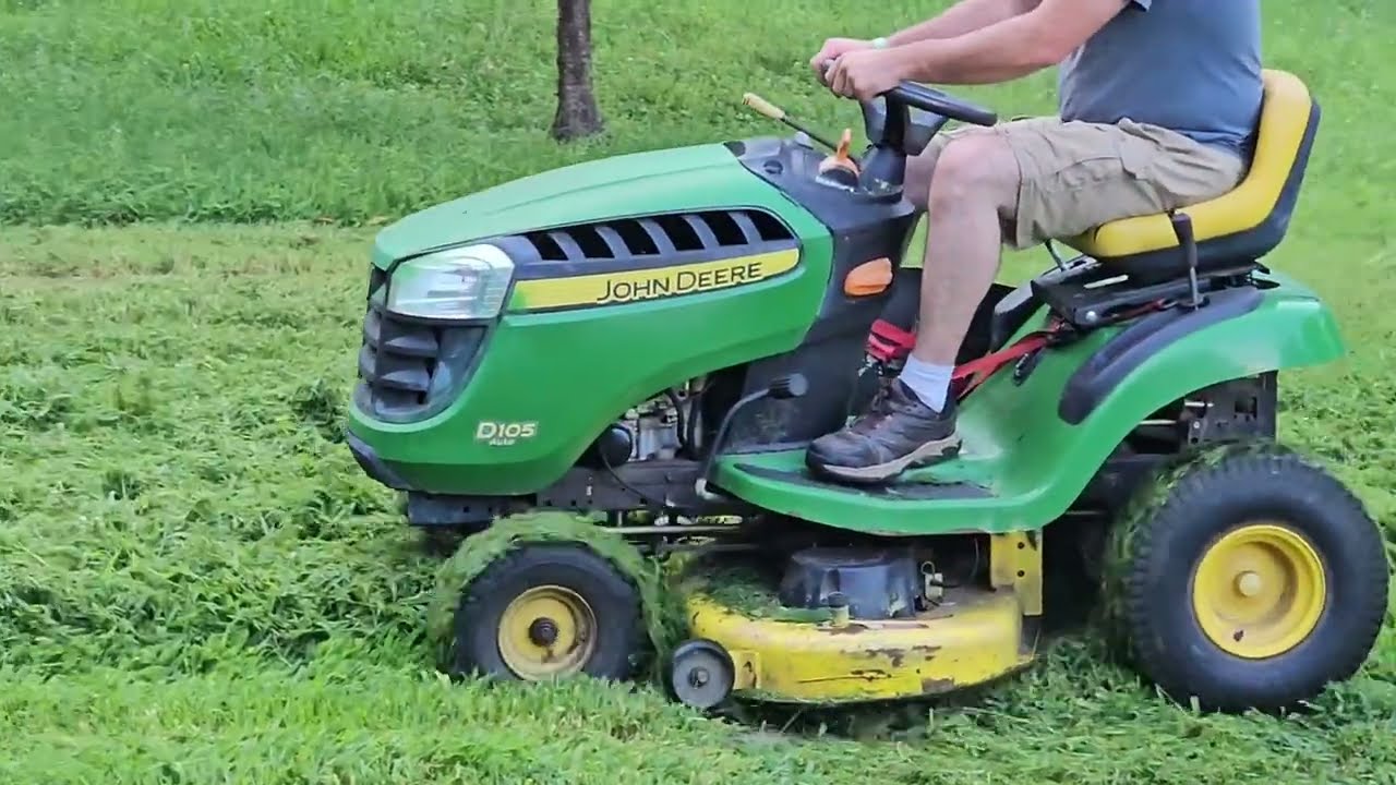 Mowing My Overgrown Backyard