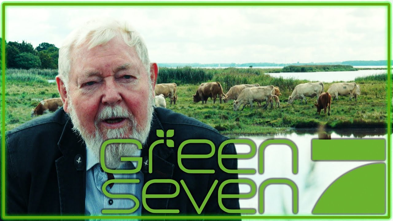 Sind Moore die Geheimwaffe gegen den Klimawandel? 🌾 | Green Seven Report