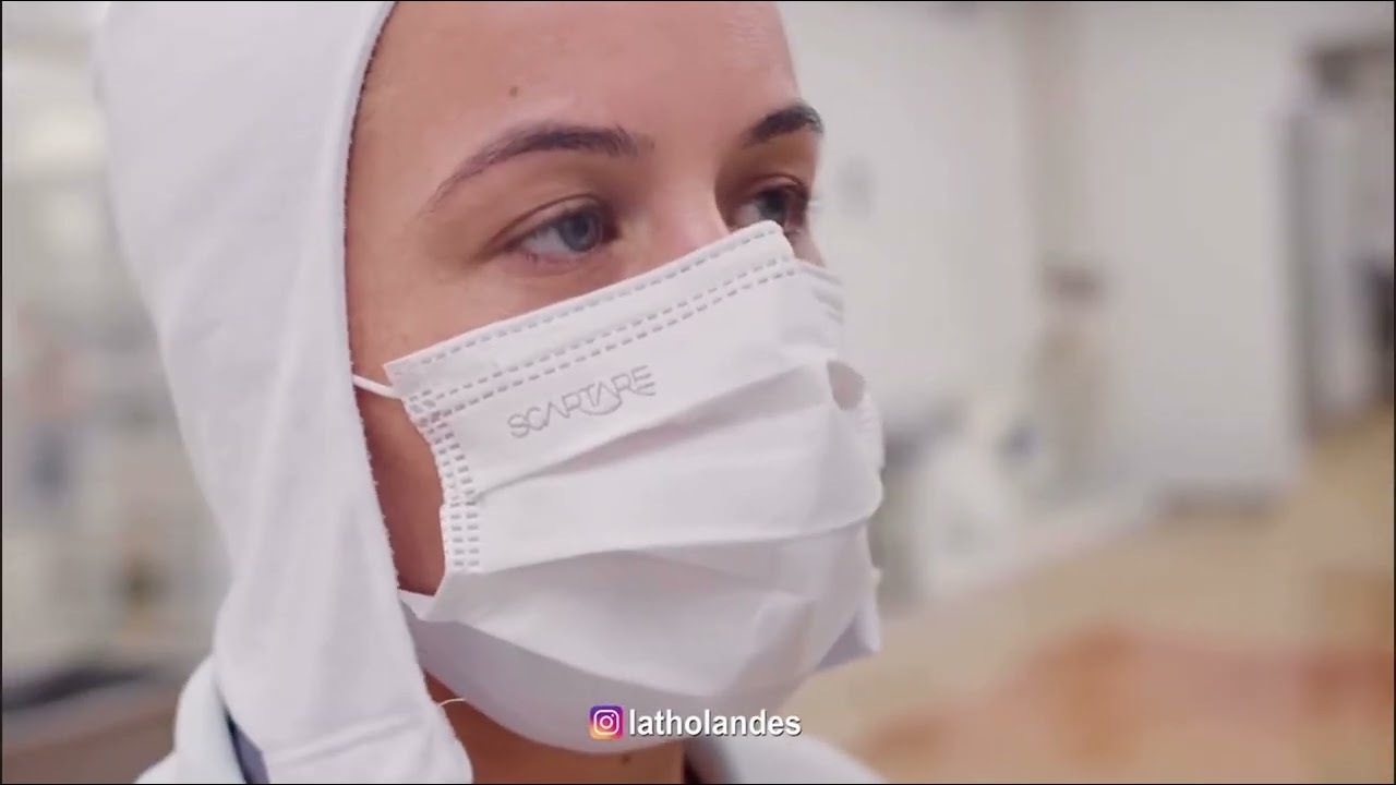 Latic&iacute;nios Holand&ecirc;s