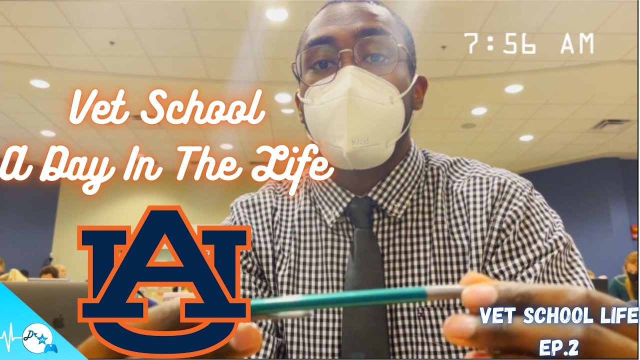 A Day In The Life In Vet School | Vetschool Life Ep. 2